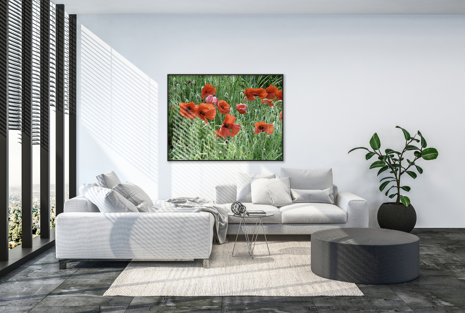 Red Poppies  original abstract contextualised office art modern decor photo print by Blair Montague Drake